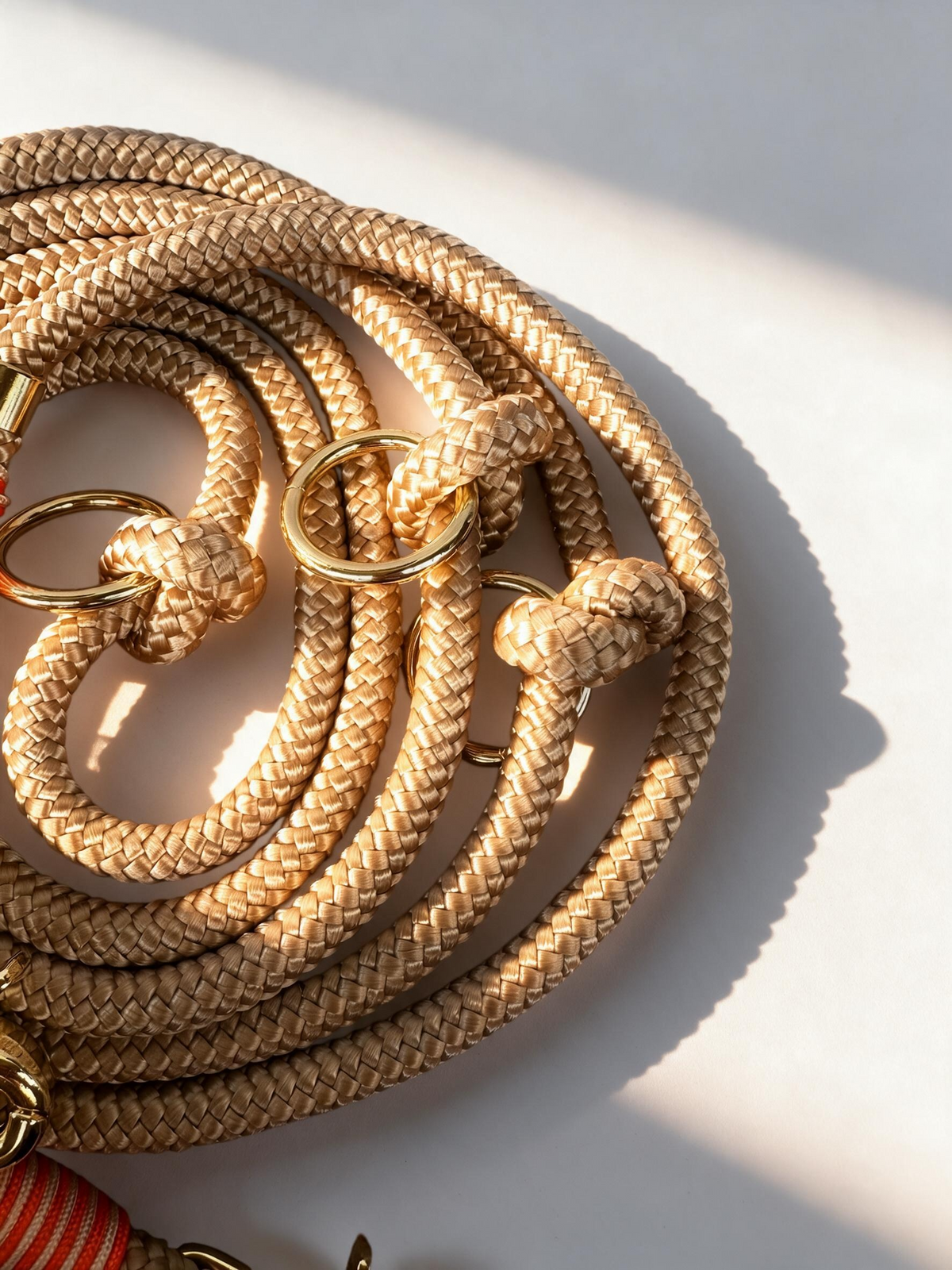 Hundeset bestehend aus Halsband und Leine aus 10mm dickem Tau in der Farbe beige mit orangenen und goldenen Details - Leine oben