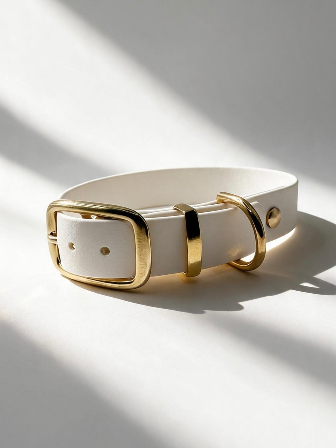 Hundehalsband aus BioThane in der Farbe Weiß mit golden Beschlägen aus Messing. Biothanehalsband Doppelstegschnalle 