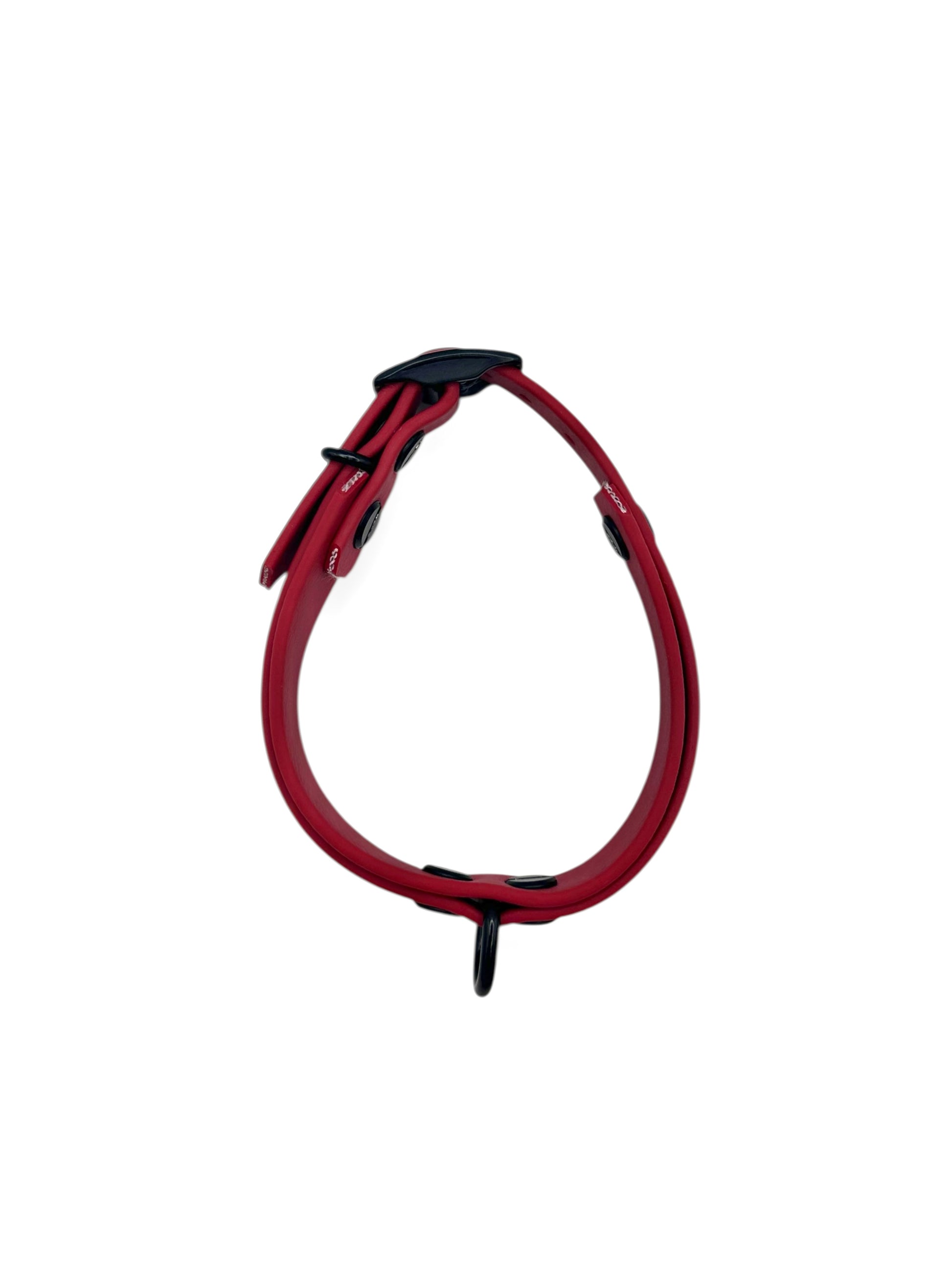 Hunde set bestehend aus Halsband und Leine aus BioThane in rot mit schwarzen Details. Geeignet für kleine, mittlere und große Hunde, da es a das Gewicht deines Hundes angepasst wird. BioThane ist für jedes Wetter geeignet.