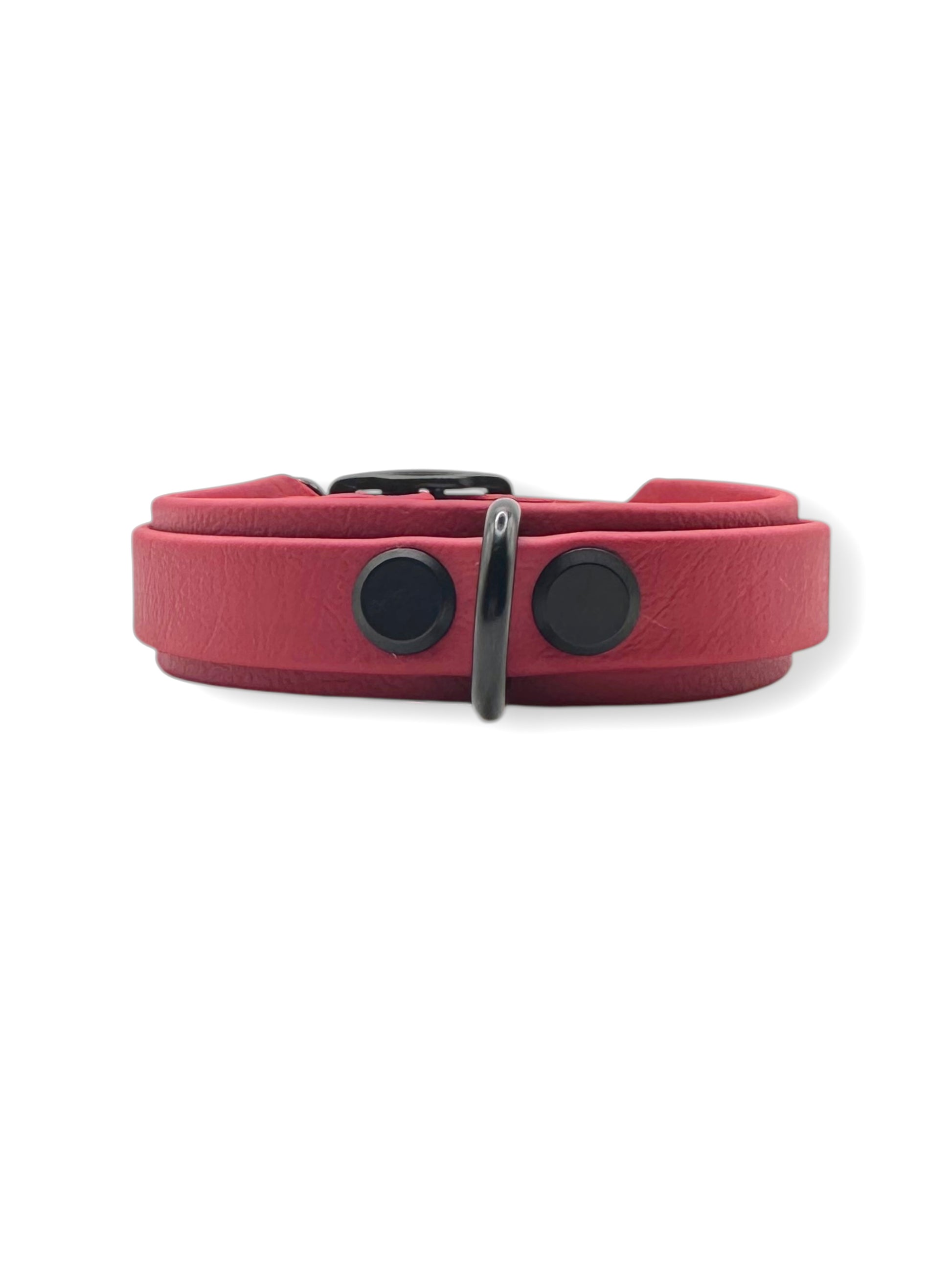 Hunde set bestehend aus Halsband und Leine aus BioThane in rot mit schwarzen Details. Geeignet für kleine, mittlere und große Hunde, da es a das Gewicht deines Hundes angepasst wird. BioThane ist für jedes Wetter geeignet.