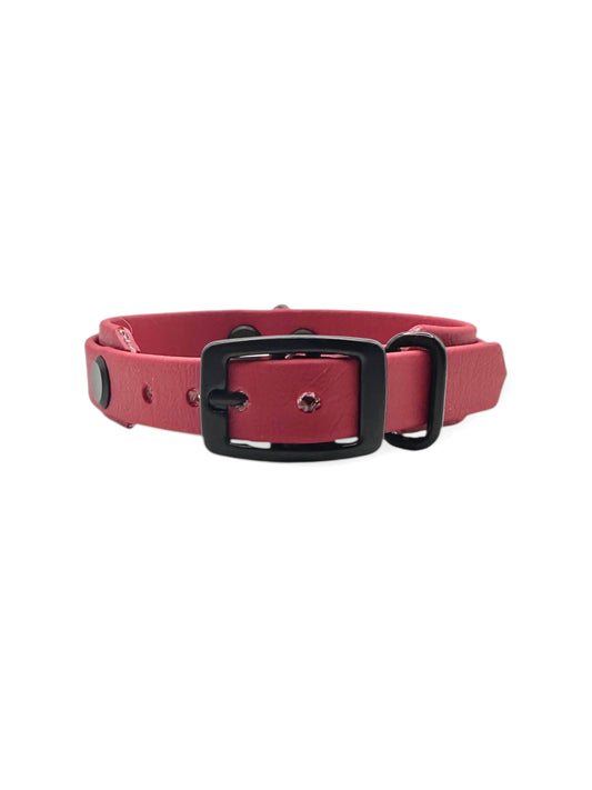 Hunde set bestehend aus Halsband und Leine aus BioThane in rot mit schwarzen Details. Geeignet für kleine, mittlere und große Hunde, da es a das Gewicht deines Hundes angepasst wird. BioThane ist für jedes Wetter geeignet.