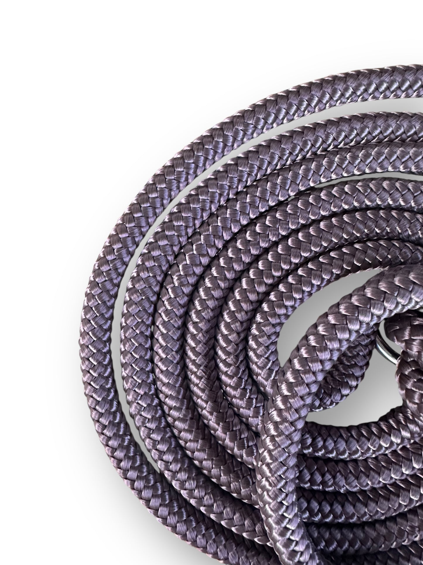 Hundeleine aus 10mm starken Tau in braun mit silbernen Details Seil