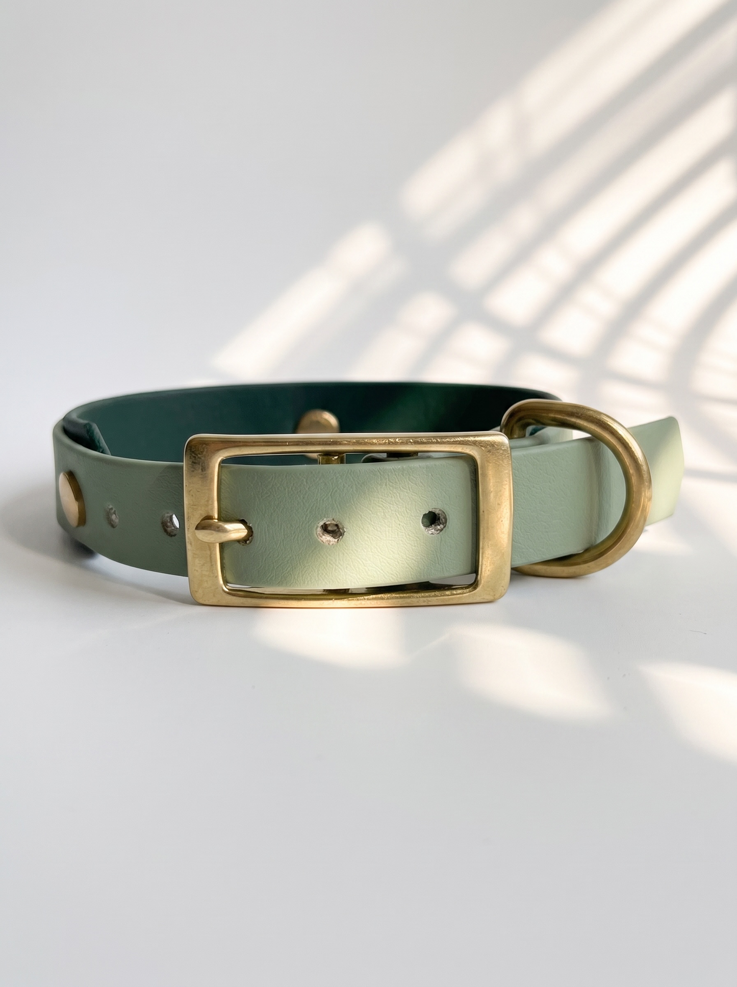 Hundeset aus BioThane Leine und Halsband in dunkel und hellgrün. Anpassbare Länge, Breite und Beschläge. Ansicht des Halsbandes von vorne mit weißen Hintergrund 