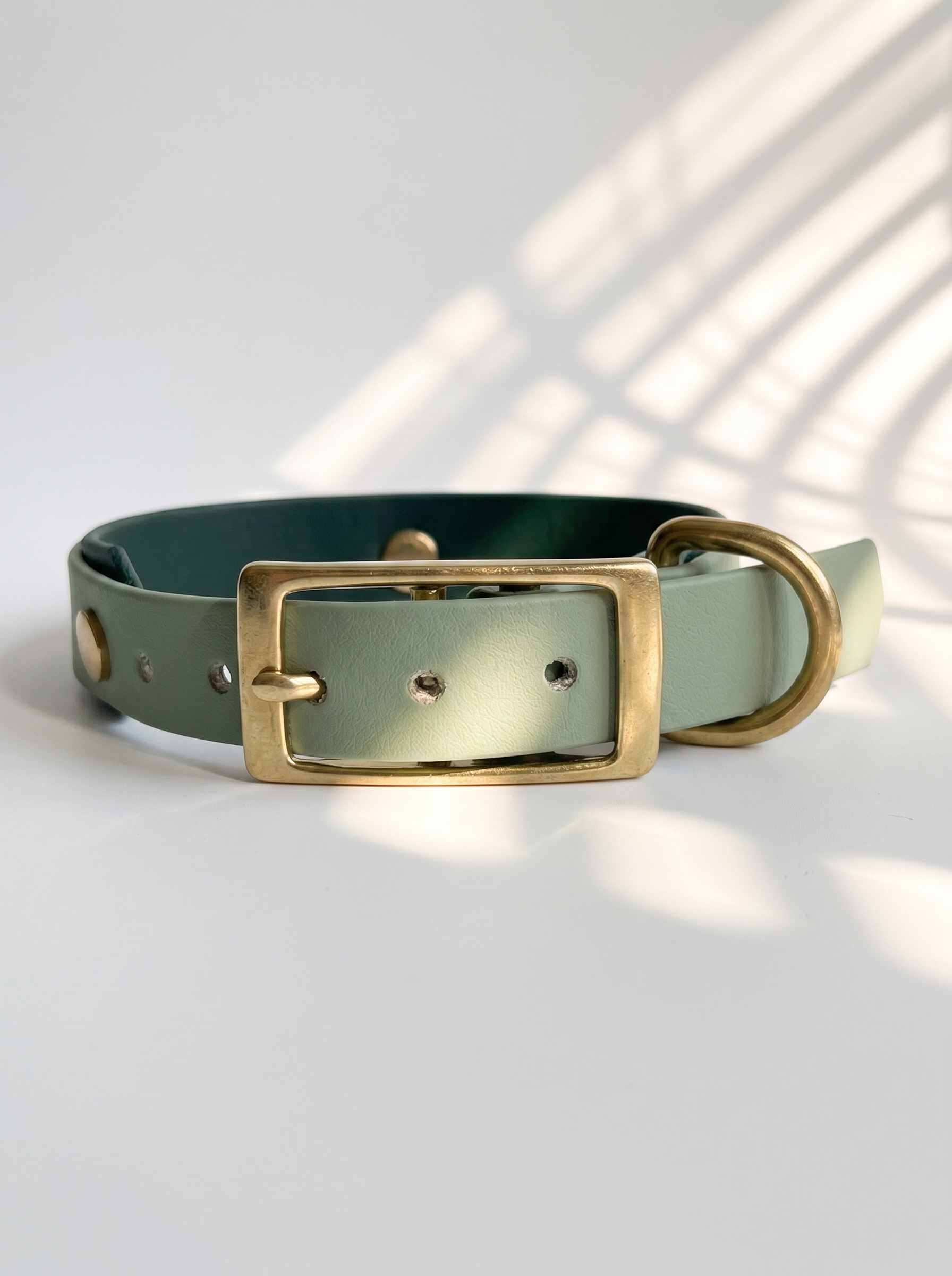 Hundeset aus BioThane Leine und Halsband in dunkel und hellgrün. Anpassbare Länge, Breite und Beschläge. Ansicht des Halsbandes von vorne mit weißen Hintergrund 