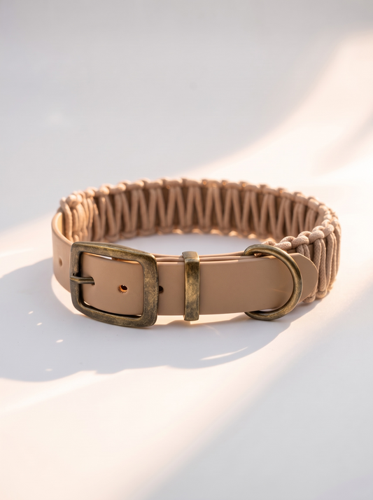 Hundehalsband aus BioThane in beige mit edlen Antik-goldenen details. Umwickelt. Ist Paracord Typ 3 in Café Latte. Handgefertigt und individuell anpassbar. Ansicht des Halsbandes von vorne 