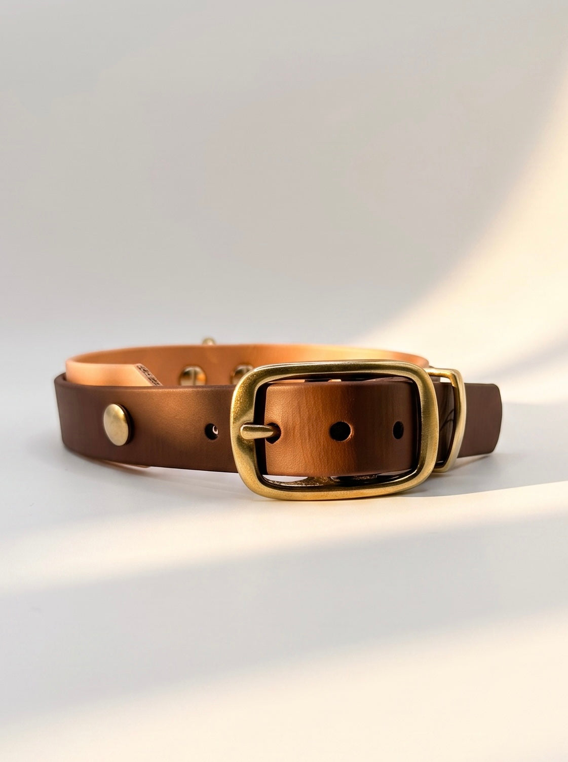 Biothane Halsband Hund in den Farben braun und Orangen handgefertigt. Verstellbar mit Doppelstegschnalle 