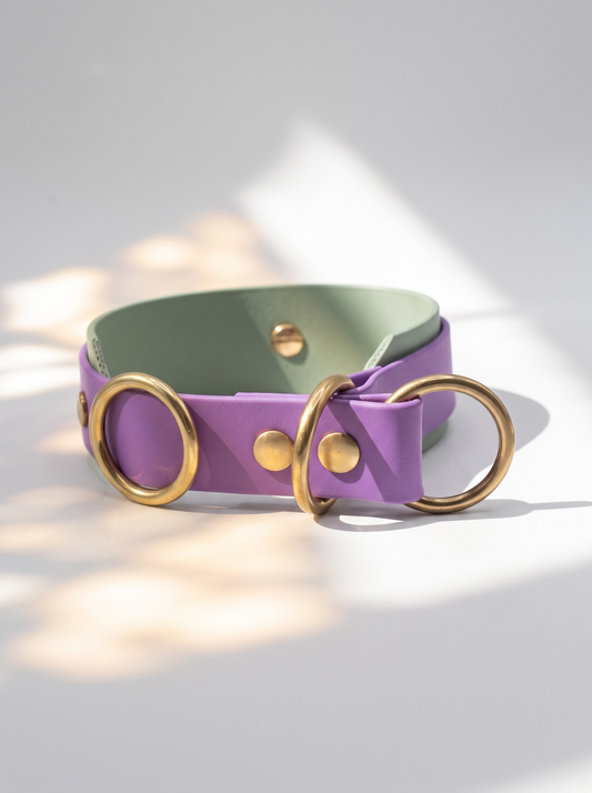 Hundehalsband und Hundeleine aus BioThane in den Farben Lila und grün. Handgefertigt und individuell anpassbar für alle Hunde. Hundehalsband mit Zugstopp 