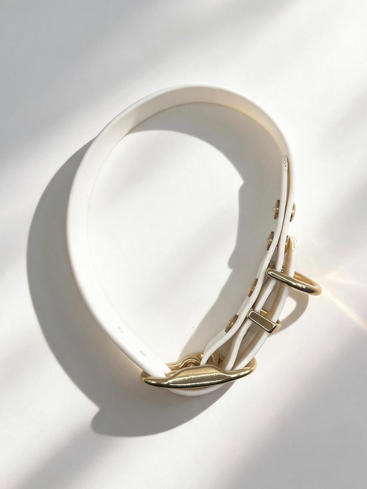 Hundehalsband aus BioThane in der Farbe Weiß mit golden Beschlägen aus Messing. Biothanehalsband Draufsicht 