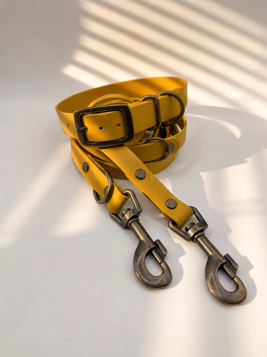 BioThane Leine und Halsband in Senf Gelb Minimal. Handgefertigt und individuell anpassbar. Beschläge personalisierbar. Verstellbares Halsband. Ansicht des Sets von vorne