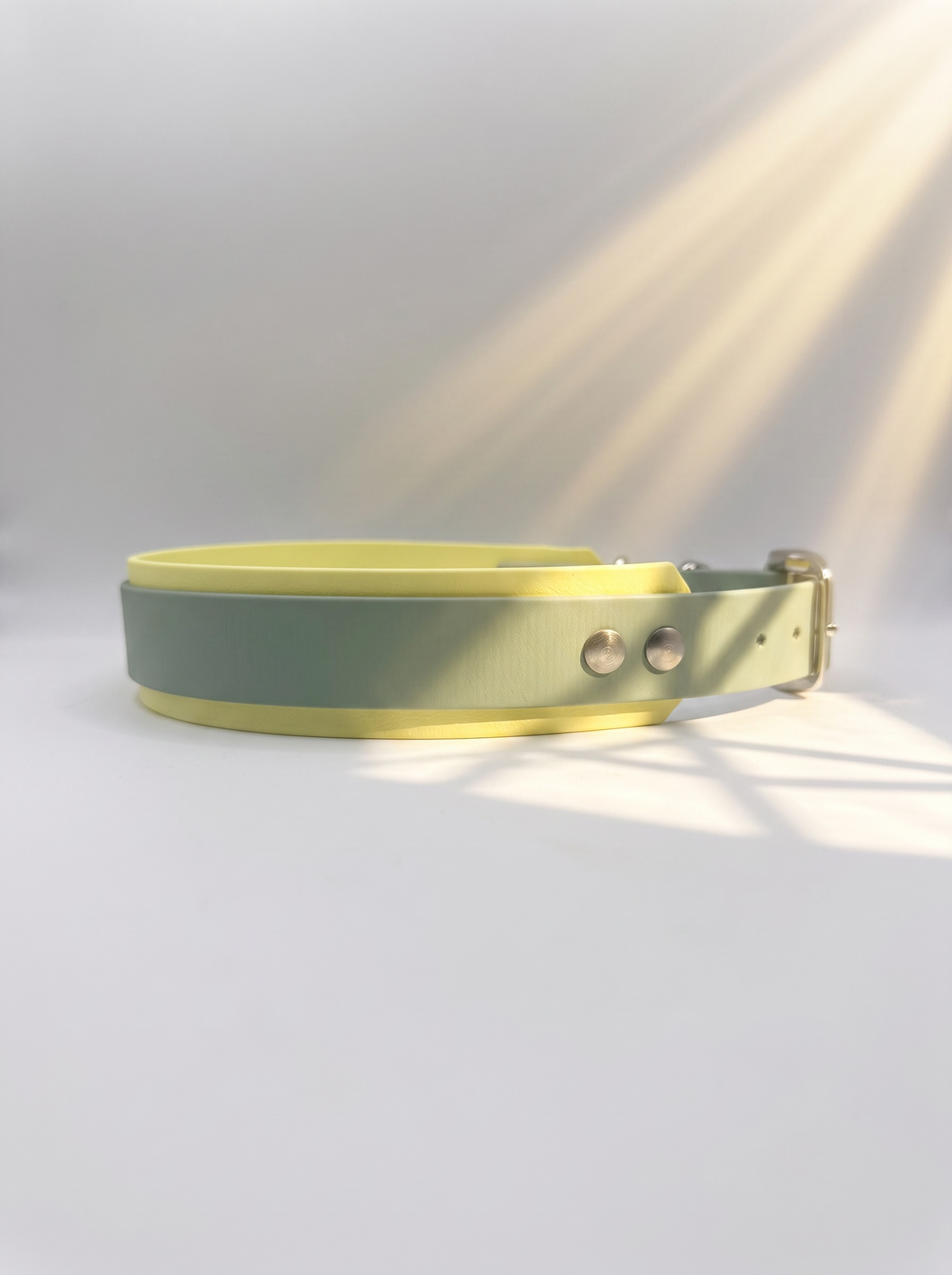 Hundehalsband aus BioThane in grün und gelb. Handgefertigt und individuell anpassbar. Mit personalisierten Beschlägen. Seitenansicht 