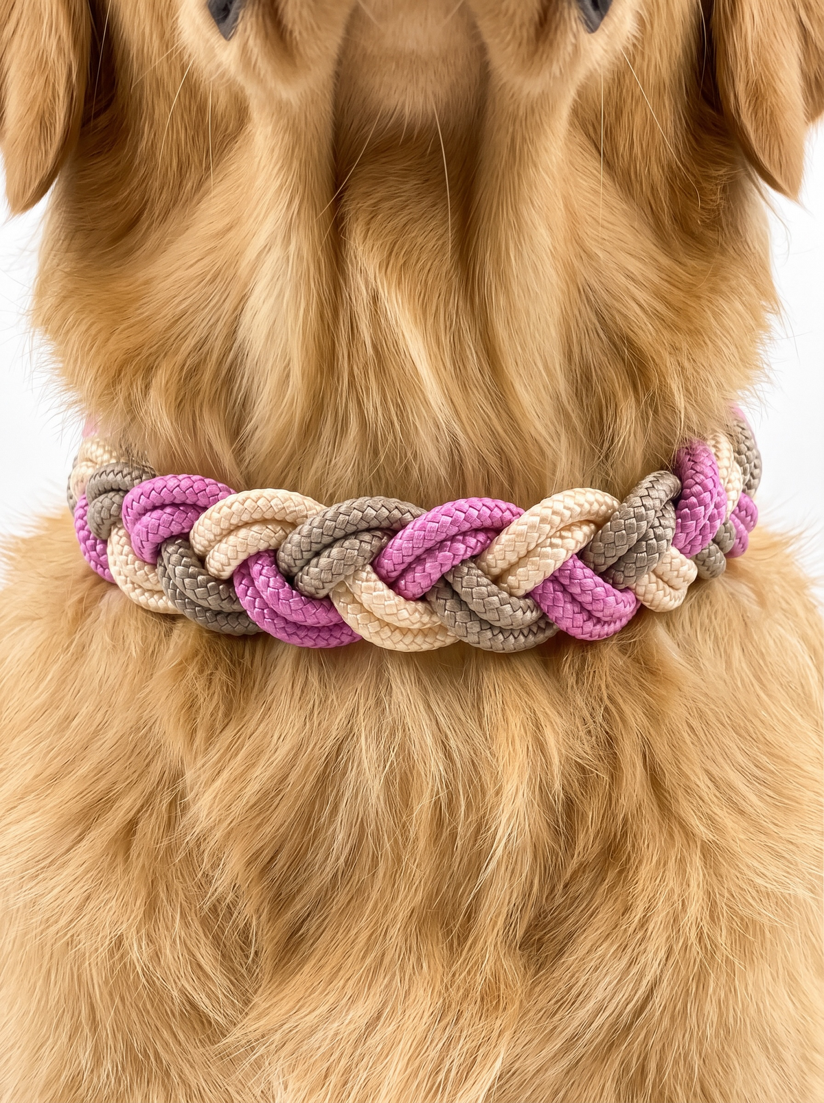 Hundehalsband aus Tau geflochten in den Farben rosa, beige, Cream und tan. Mit Leder oder BioThane Verschluss. Handgefertigt und individuell anpassbar. Ansicht des Halsbandes von hinten getragen an einem Hund.