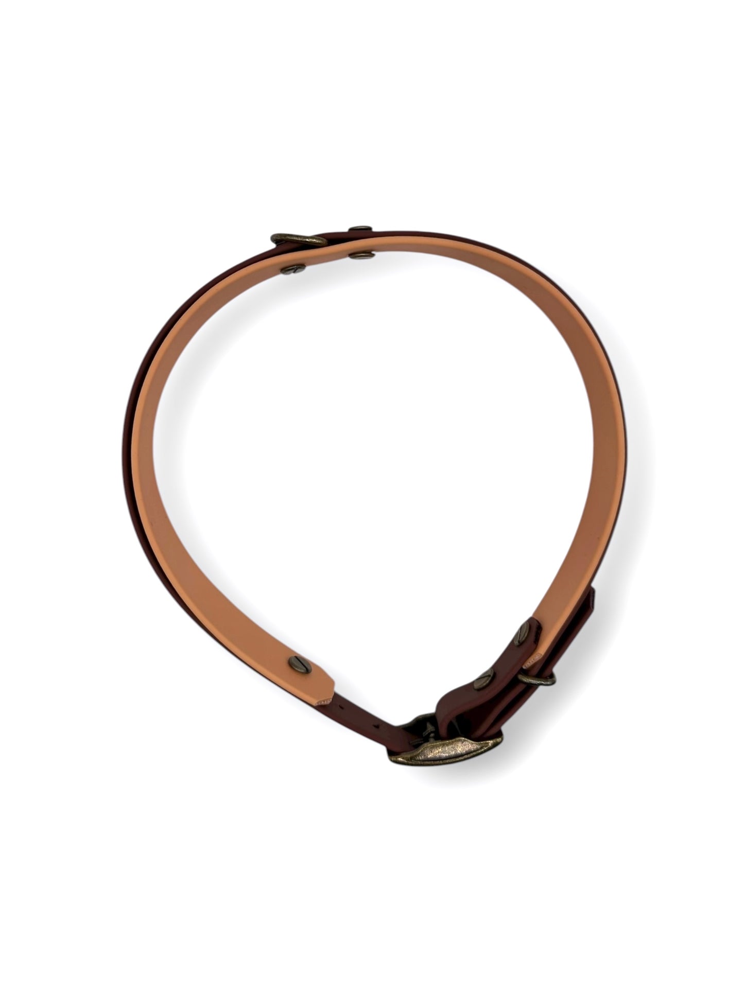 Hundehalsband aus Biotahen in braun und orange mit antik goldenen Beschlägen. Perfekt geeignet für den Herbst und Winter .