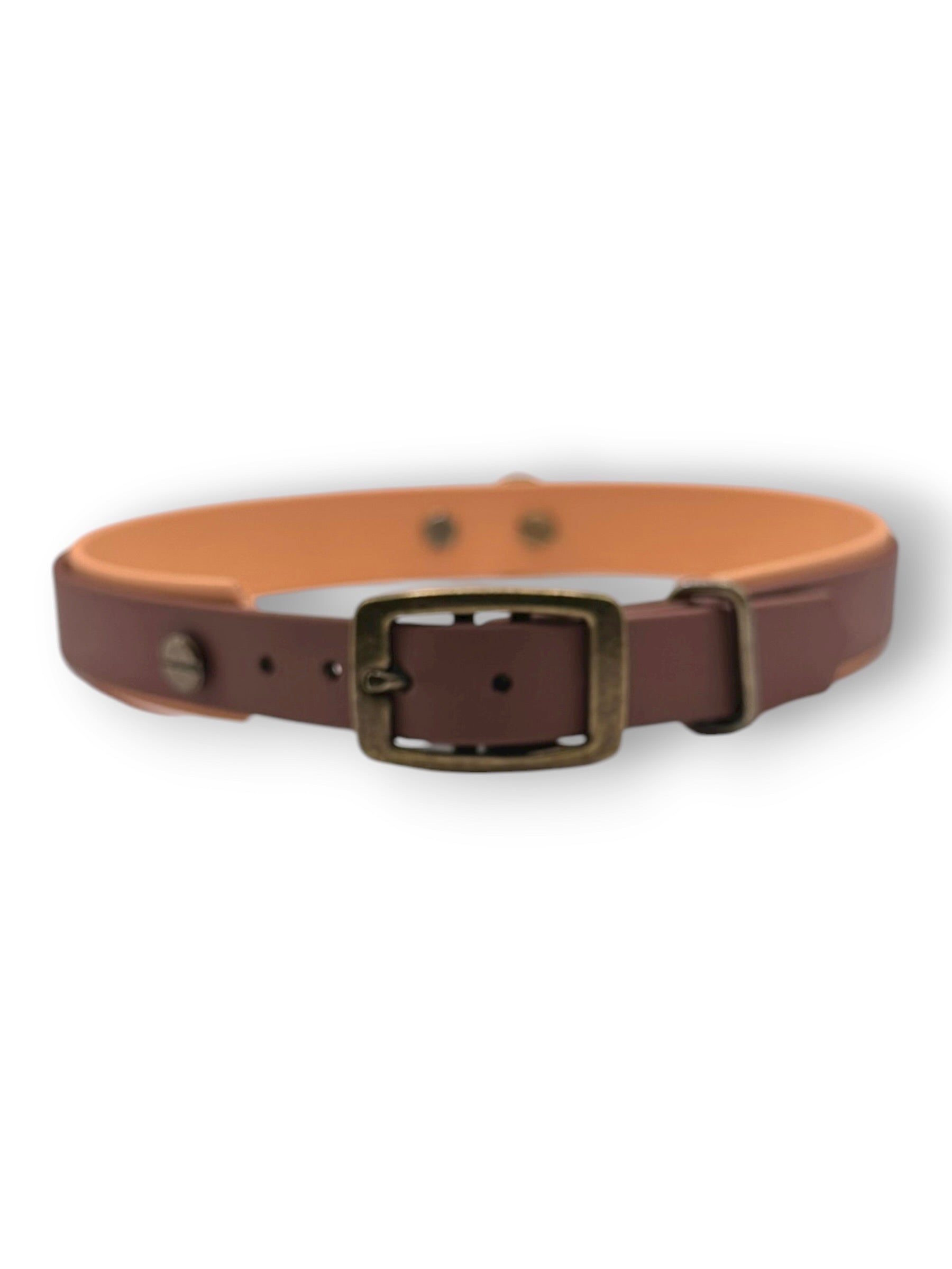 Hundehalsband aus Biotahen in braun und orange mit antik goldenen Beschlägen. Perfekt geeignet für den Herbst und Winter. Vorne 