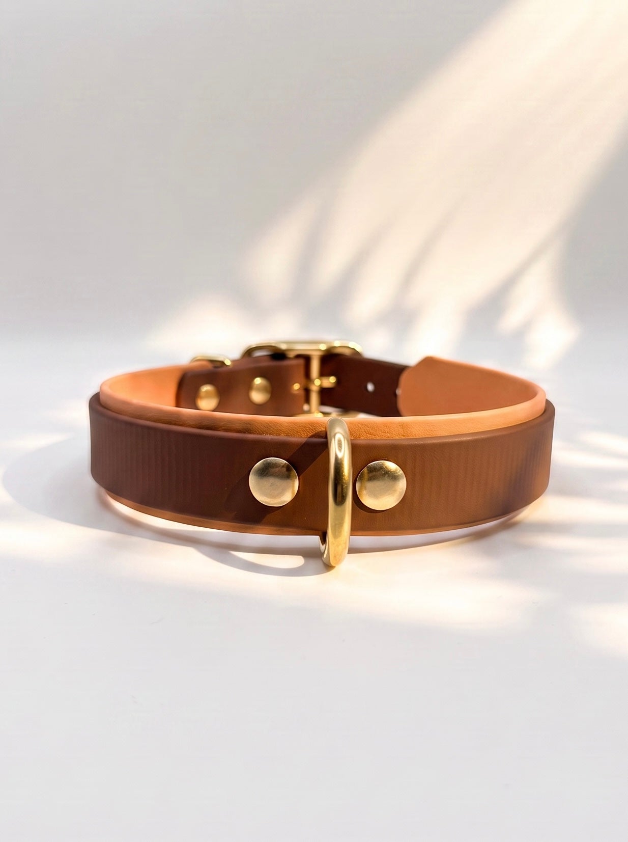 Hundehalsband aus Biotahen in braun und orange mit antik goldenen Beschlägen. Perfekt geeignet für den Herbst und Winter. Hinten
