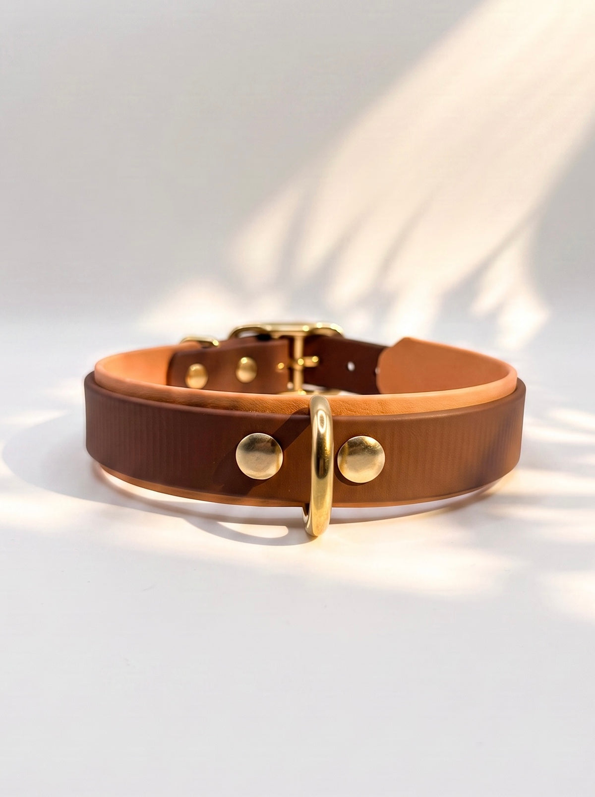 Hundehalsband aus Biotahen in braun und orange mit antik goldenen Beschlägen. Perfekt geeignet für den Herbst und Winter. Hinten