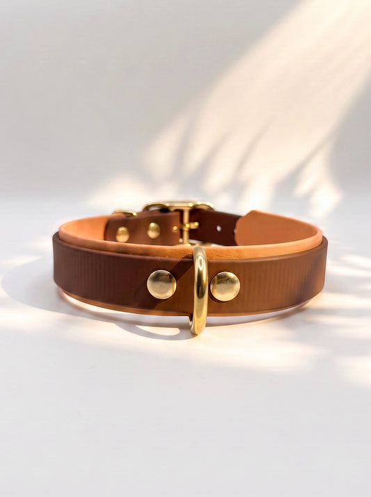 Hundehalsband aus Biotahen in braun und orange mit antik goldenen Beschlägen. Perfekt geeignet für den Herbst und Winter. Hinten