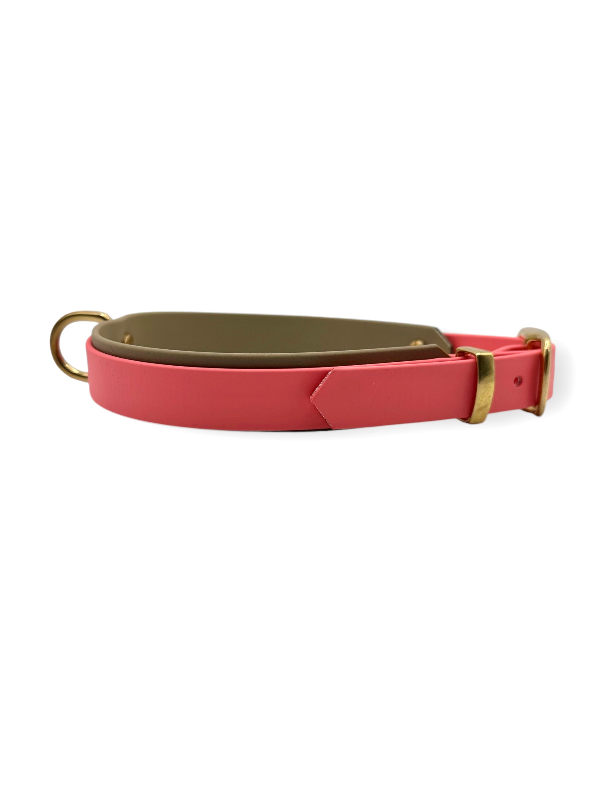 Hundehalsband aus BioThane in den Farben Coral und Beige. Verschiedene Breiten erhältlich, geeignet für kleine, mittlere und große Hunde, da es a das Gewicht deines Hundes angepasst wird. Perfekt für Schlechtwetter Tage.
