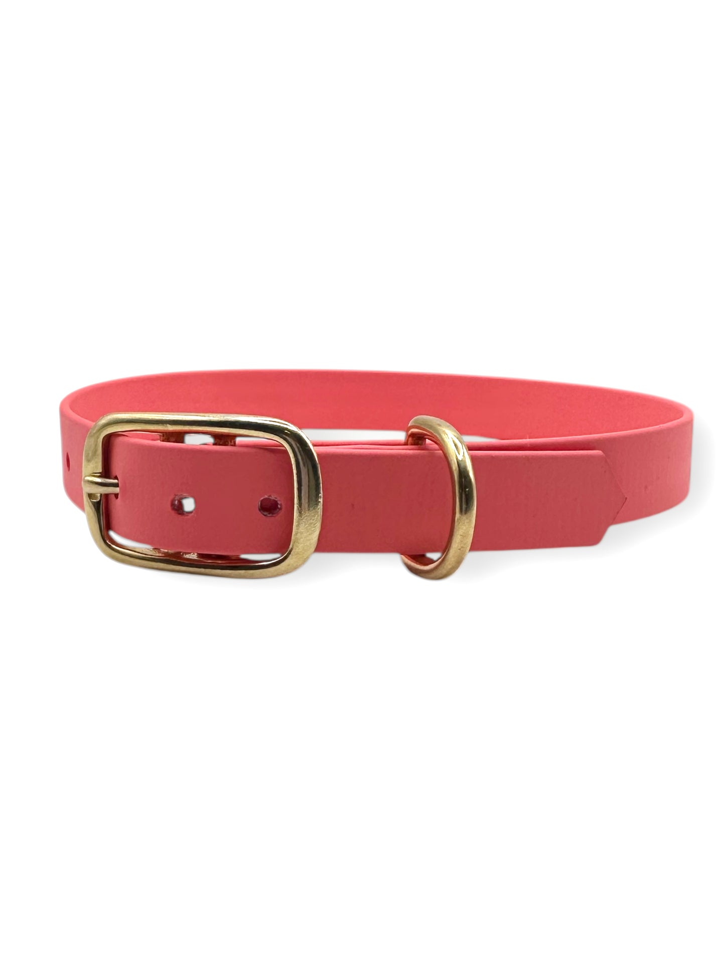 Hundehalsband aus BioThane in der Farbe Coral. Verschiedene Breiten erhältlich, geeignet für kleine, mittlere und große Hunde, da es a das Gewicht deines Hundes angepasst wird. Perfekt für Schlechtwetter Tage.