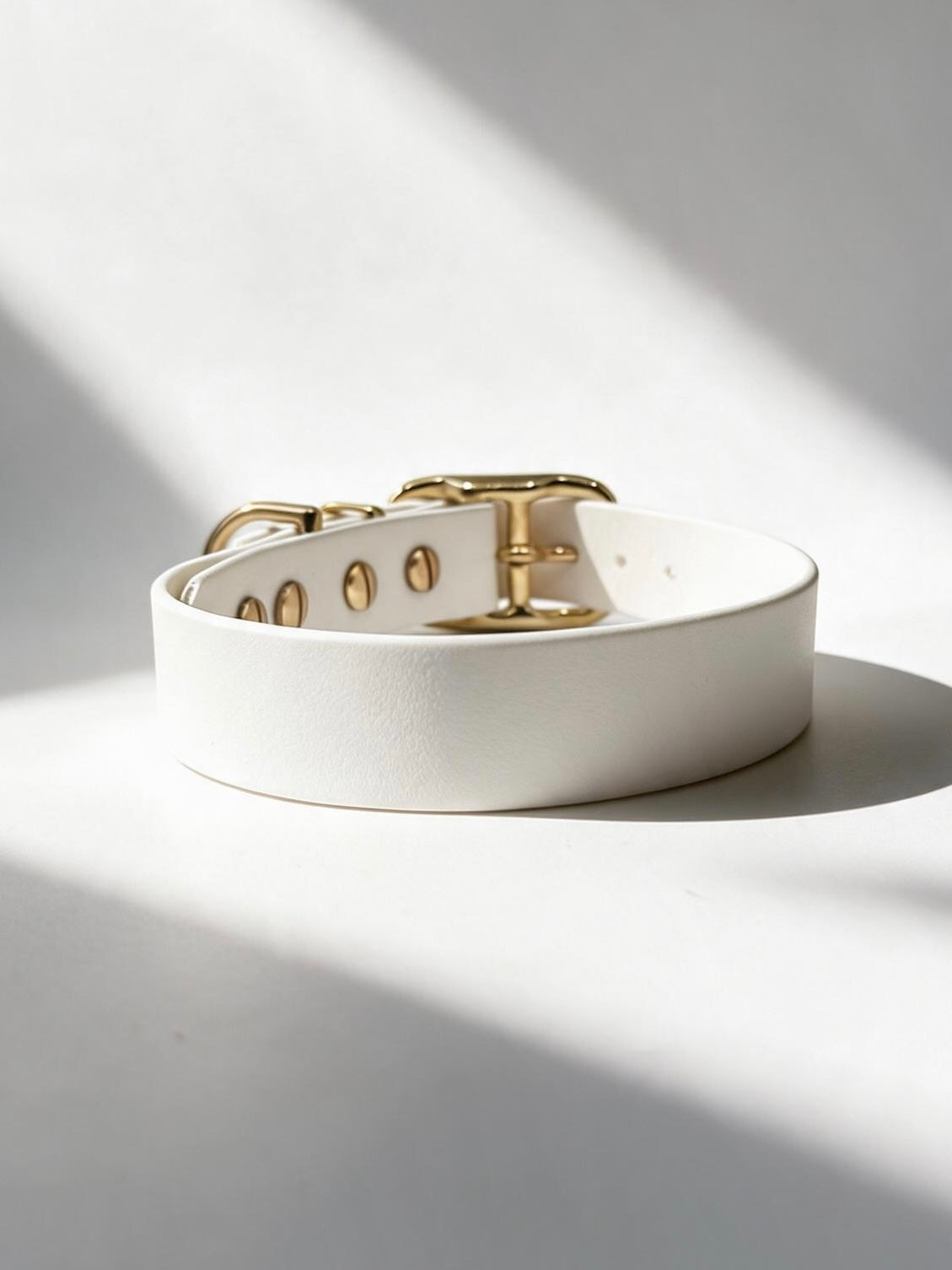 Hundehalsband aus BioThane in der Farbe Weiß mit golden Beschlägen aus Messing. Biothanehalsband Von hinten 