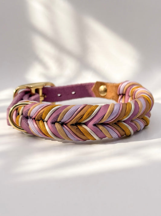 Hundehalsband aus Leder in Lila, Rosa und Braun geflochten. Handgefertigt und individuell anpassbar für alle hundegrößen. Beschläge aus Gold Messing. Ansicht das Halsbandes von oben 