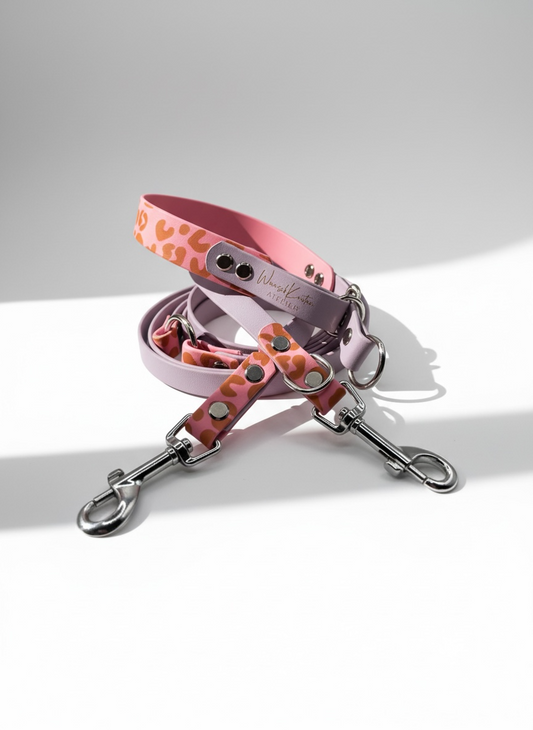 Hundeset aus biothane in pastel Rosa und pastel Lila mit Leoprint. Leoset für Hunde mit Messing beschlägen