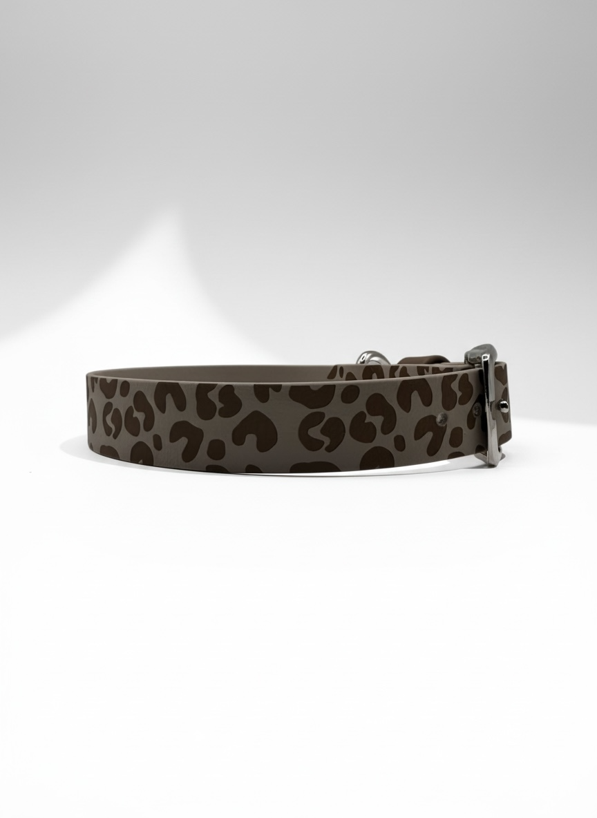 Hundehalsband mit Leo Gravur in taupe mit silbernen Beschlägen 