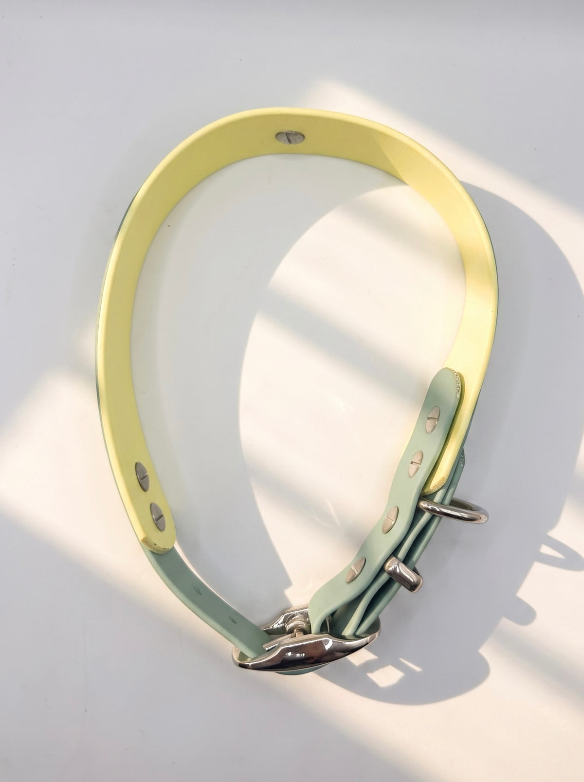 Hundehalsband aus BioThane in grün und gelb. Handgefertigt und individuell anpassbar. Mit personalisierten Beschlägen. Draufsicht 