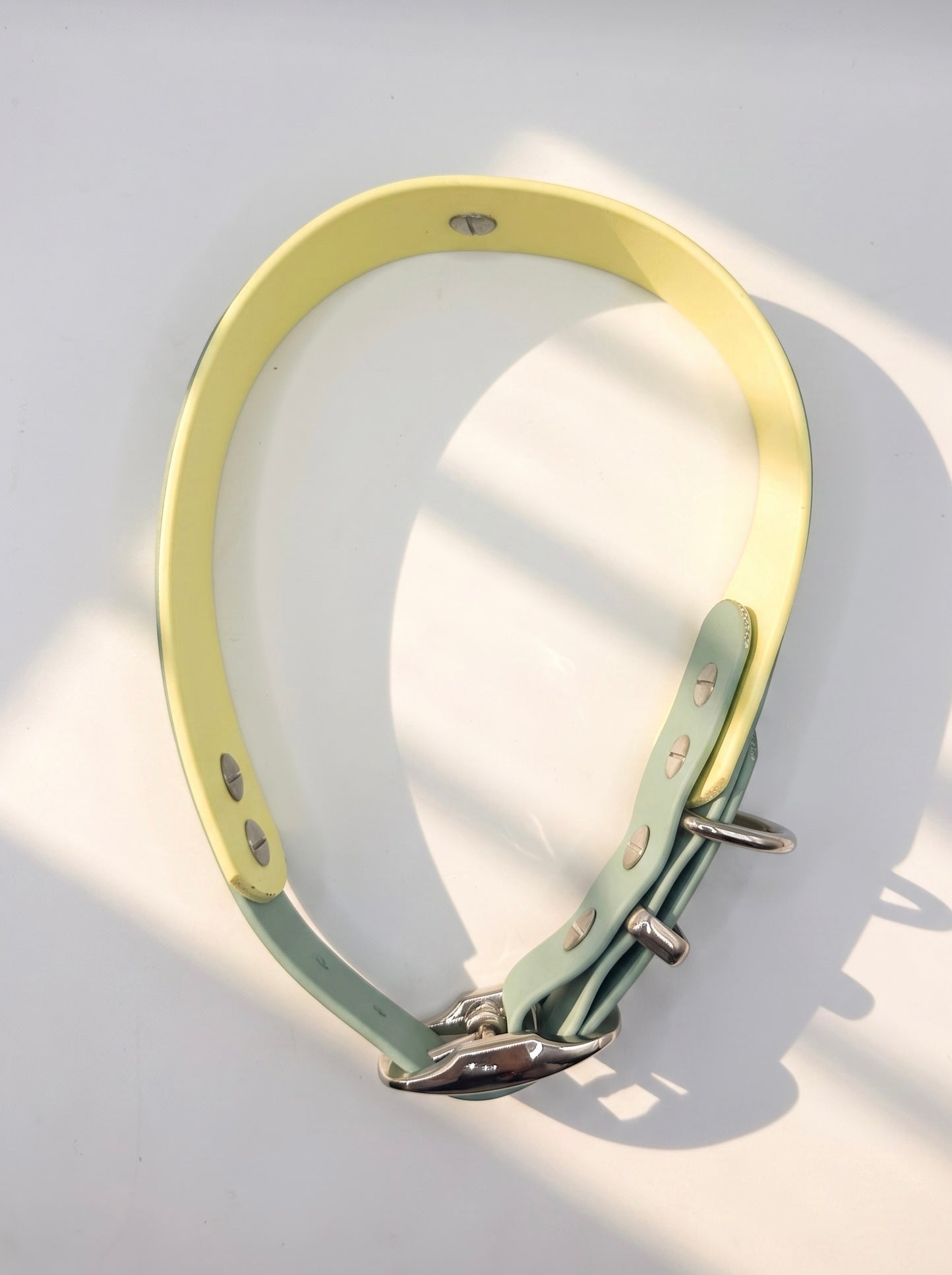 Hundehalsband aus BioThane in grün und gelb. Handgefertigt und individuell anpassbar. Mit personalisierten Beschlägen. Draufsicht 
