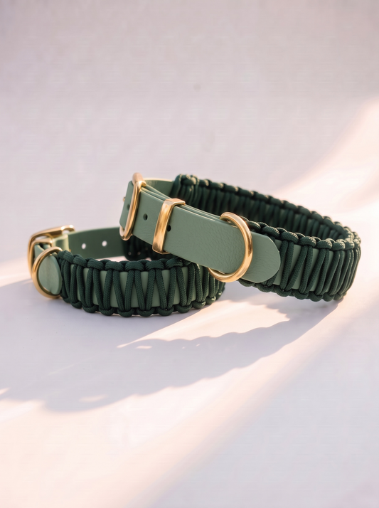 Hundehalsband aus BioThane und Paracord in herbstlichen grün mit goldene details aus messing. BioThane halsband von der Seite und hinten angebildet 