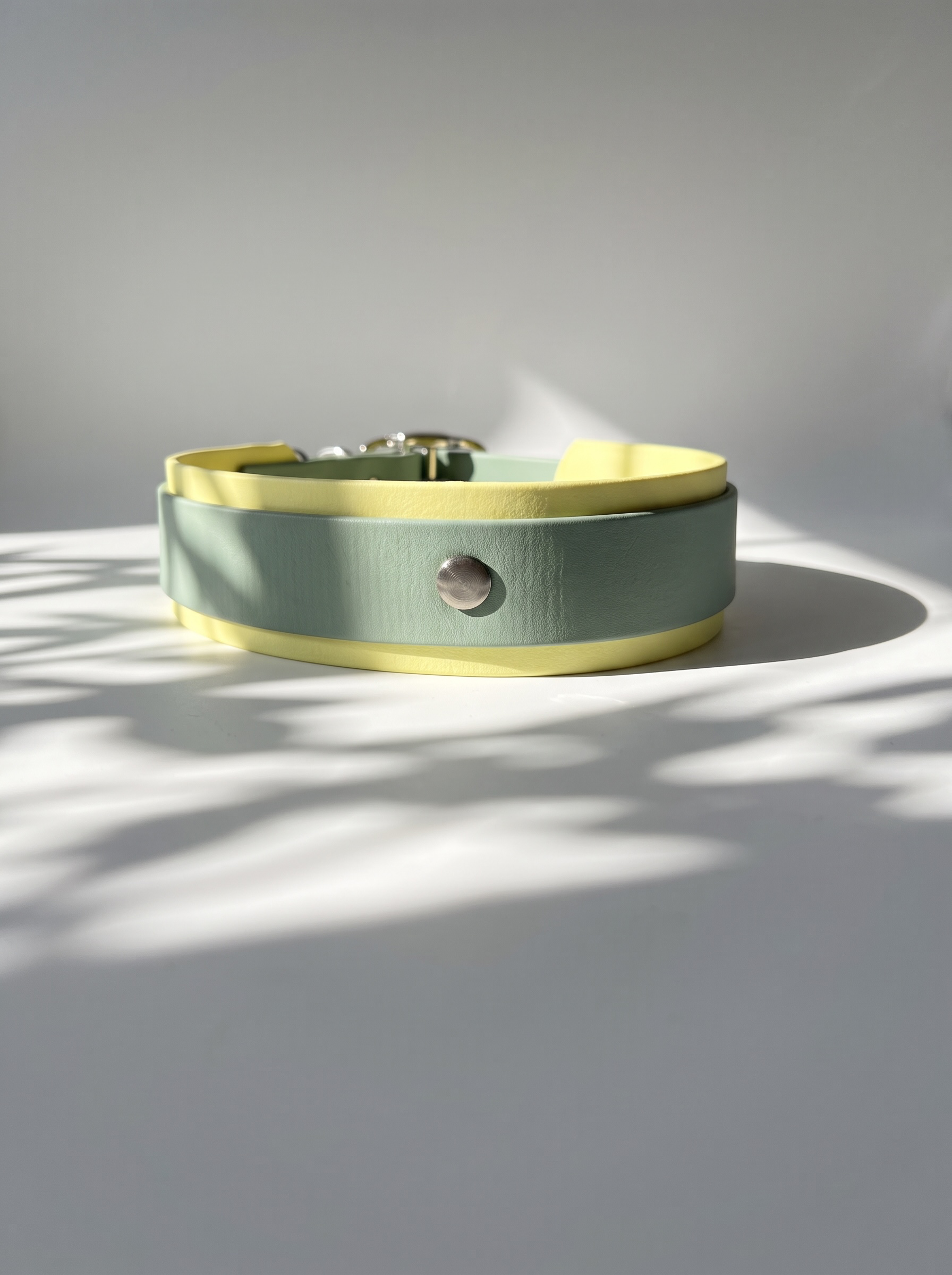 Hundehalsband aus BioThane in grün und gelb. Handgefertigt und individuell anpassbar. Mit personalisierten Beschlägen. Rückansicht 