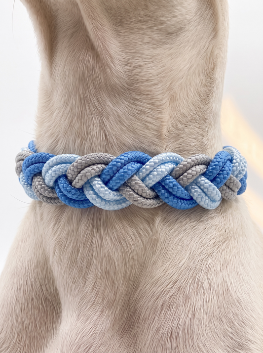 Hundehalsband geflochten in hell und dunkelblau mit grau geflochten. Handgefertigt aus Tau und Leder oder BioThane. Individuell anpassbar. Ansicht des Halsbandes von hinten an einem Hund getragen.