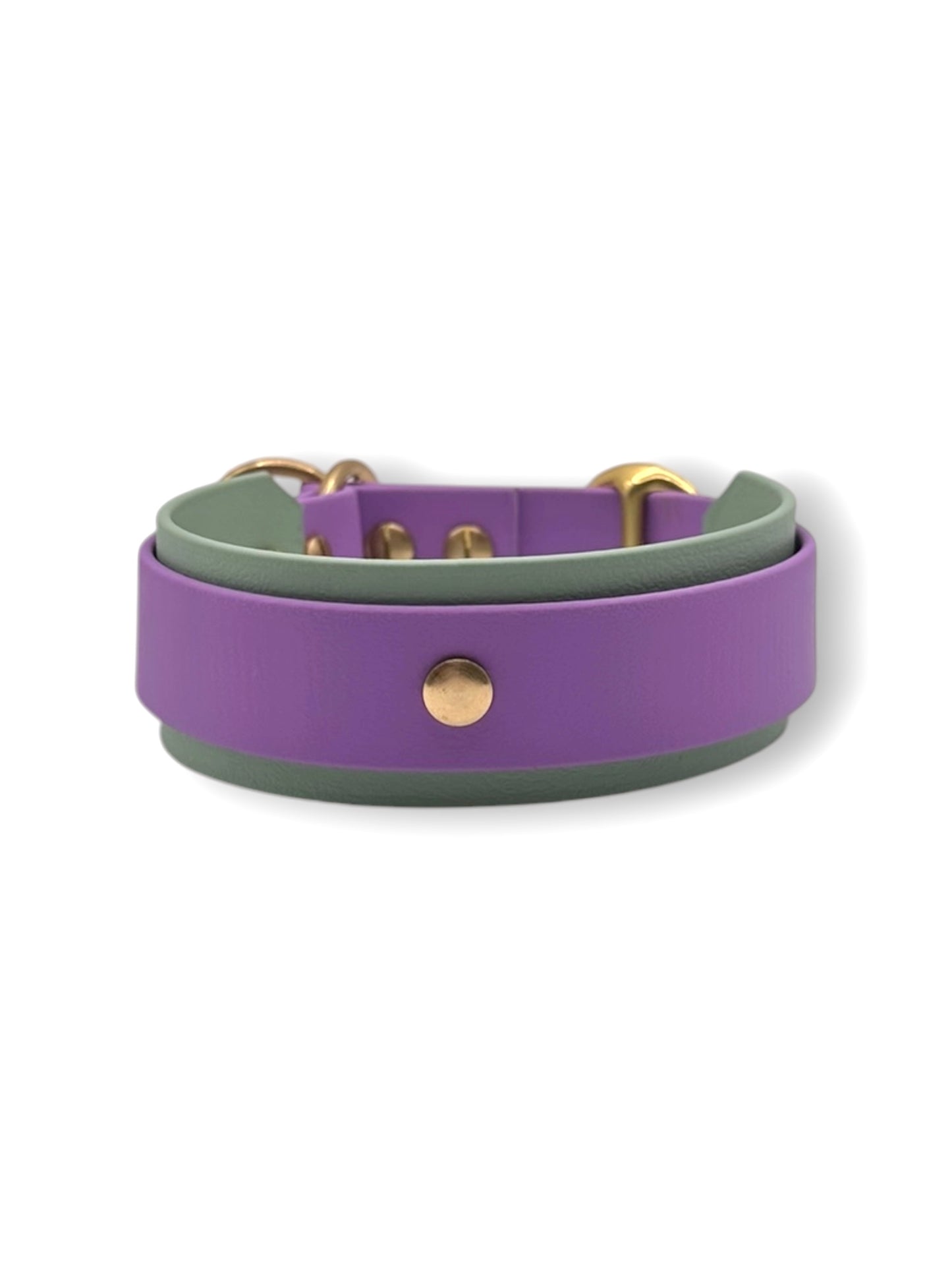 Hundehalsband aus BioThane mit Zugstopp Verschluss in lila und grün und goldenen Details. Perfekt für den Herbst und Winter. Hinten 