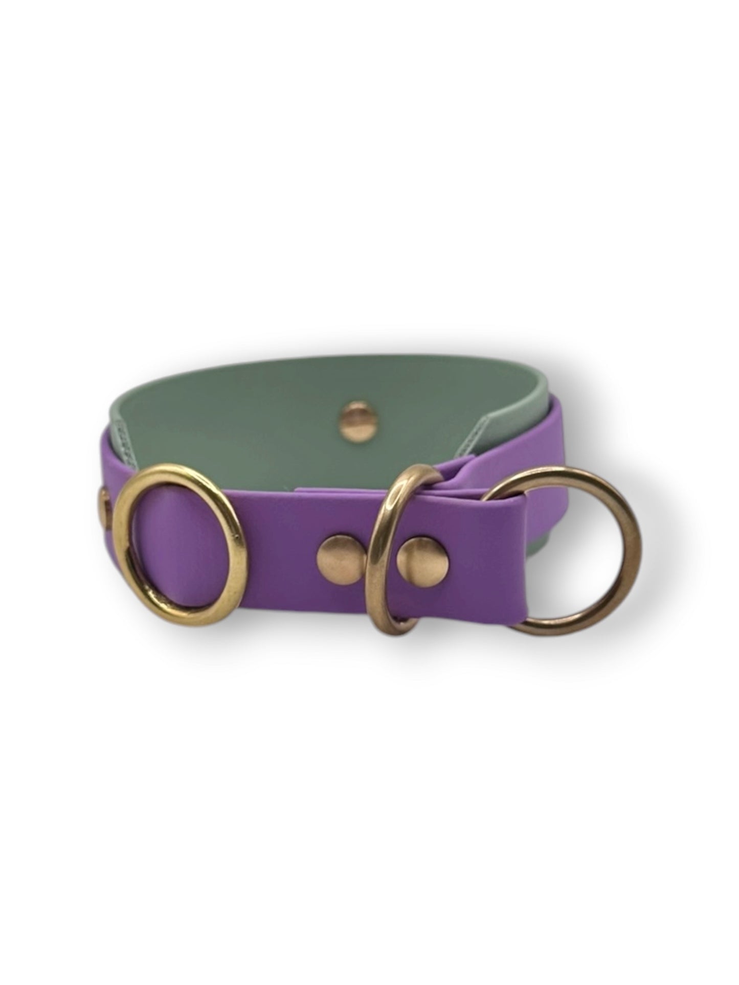 Hundehalsband aus BioThane mit Zugstopp Verschluss in lila und grün und goldenen Details. Perfekt für den Herbst und Winter.