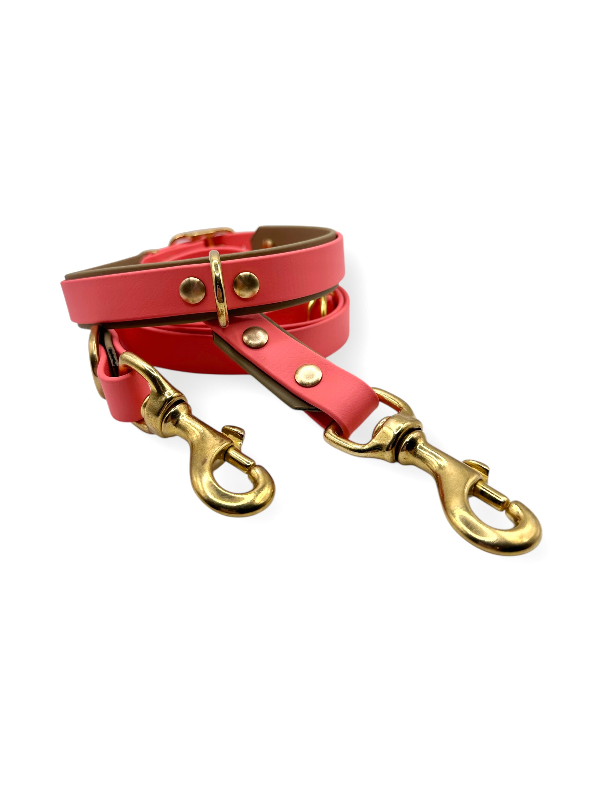 Hundeset bestehend aus Leine und Halsband aus BioThane. In den Farben Coral und Beige. Geeignet für kleine, mittlere und große Hunde, da unsere Artikel a die Größe und das Gewicht deines Hundes angepasst werden. biothane ist geeignet für jedes Wetter.