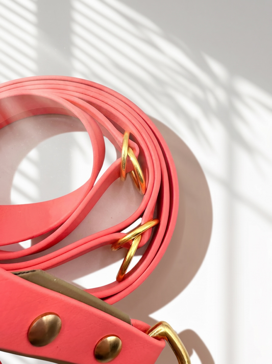 Hundeset bestehend aus Leine und Halsband aus BioThane. In den Farben Coral und Beige. Geeignet für kleine, mittlere und große Hunde, da unsere Artikel a die Größe und das Gewicht deines Hundes angepasst werden. biothane ist geeignet für jedes Wetter. Ansicht Details der Leine von den verstellmöglichkeiten 