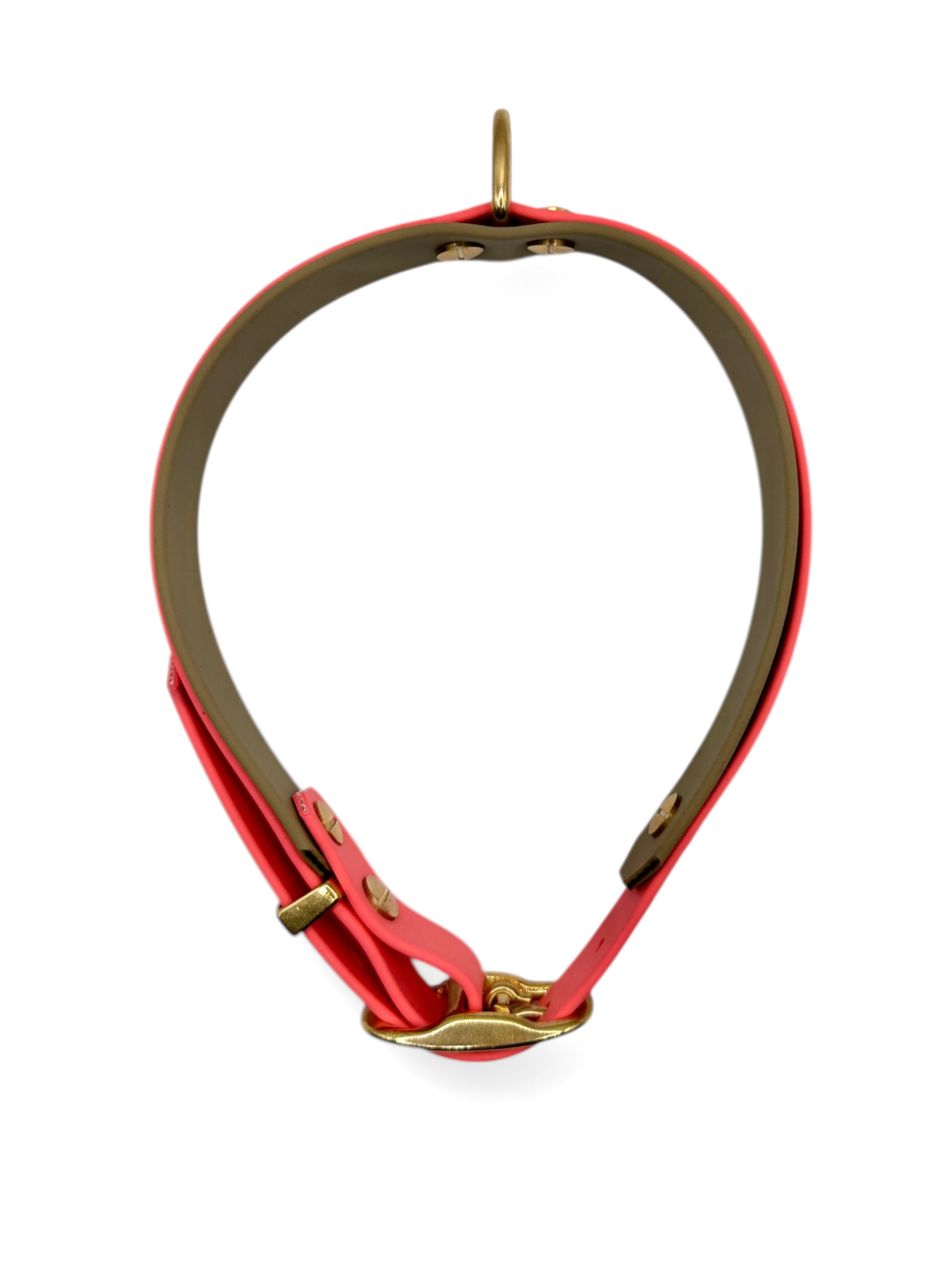 Hundeset bestehend aus Leine und Halsband aus BioThane. In den Farben Coral und Beige. Geeignet für kleine, mittlere und große Hunde, da unsere Artikel a die Größe und das Gewicht deines Hundes angepasst werden. biothane ist geeignet für jedes Wetter.