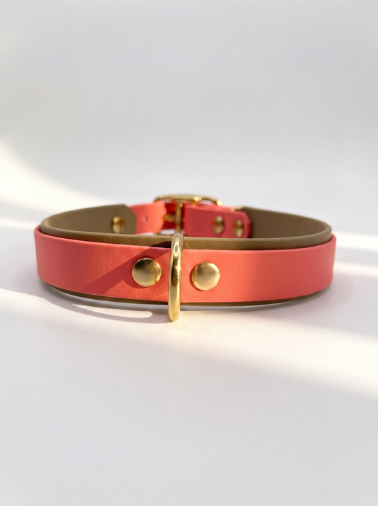 Hundeset bestehend aus Leine und Halsband aus BioThane. In den Farben Coral und Beige. Geeignet für kleine, mittlere und große Hunde, da unsere Artikel a die Größe und das Gewicht deines Hundes angepasst werden. biothane ist geeignet für jedes Wetter. Ansicht Halsband hinten mit D-Ring in Messing 