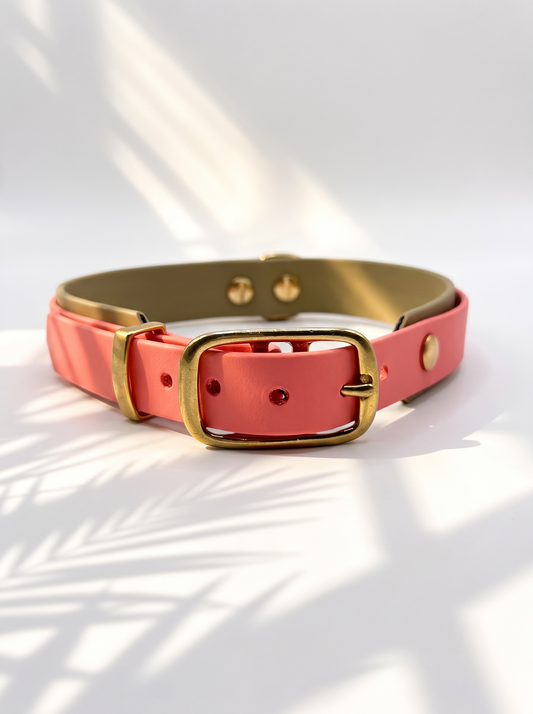 Hundeset bestehend aus Leine und Halsband aus BioThane. In den Farben Coral und Beige. Geeignet für kleine, mittlere und große Hunde, da unsere Artikel a die Größe und das Gewicht deines Hundes angepasst werden. biothane ist geeignet für jedes Wetter. Ansicht Halsband mit Doppelstegschnalle Messing 