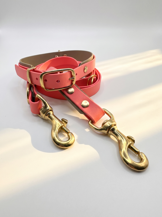 Hundeset bestehend aus Leine und Halsband aus BioThane. In den Farben Coral und Beige. Geeignet für kleine, mittlere und große Hunde, da unsere Artikel a die Größe und das Gewicht deines Hundes angepasst werden. biothane ist geeignet für jedes Wetter. Ansicht Halsband mit verstellbarer schnalle und Details der Leine 