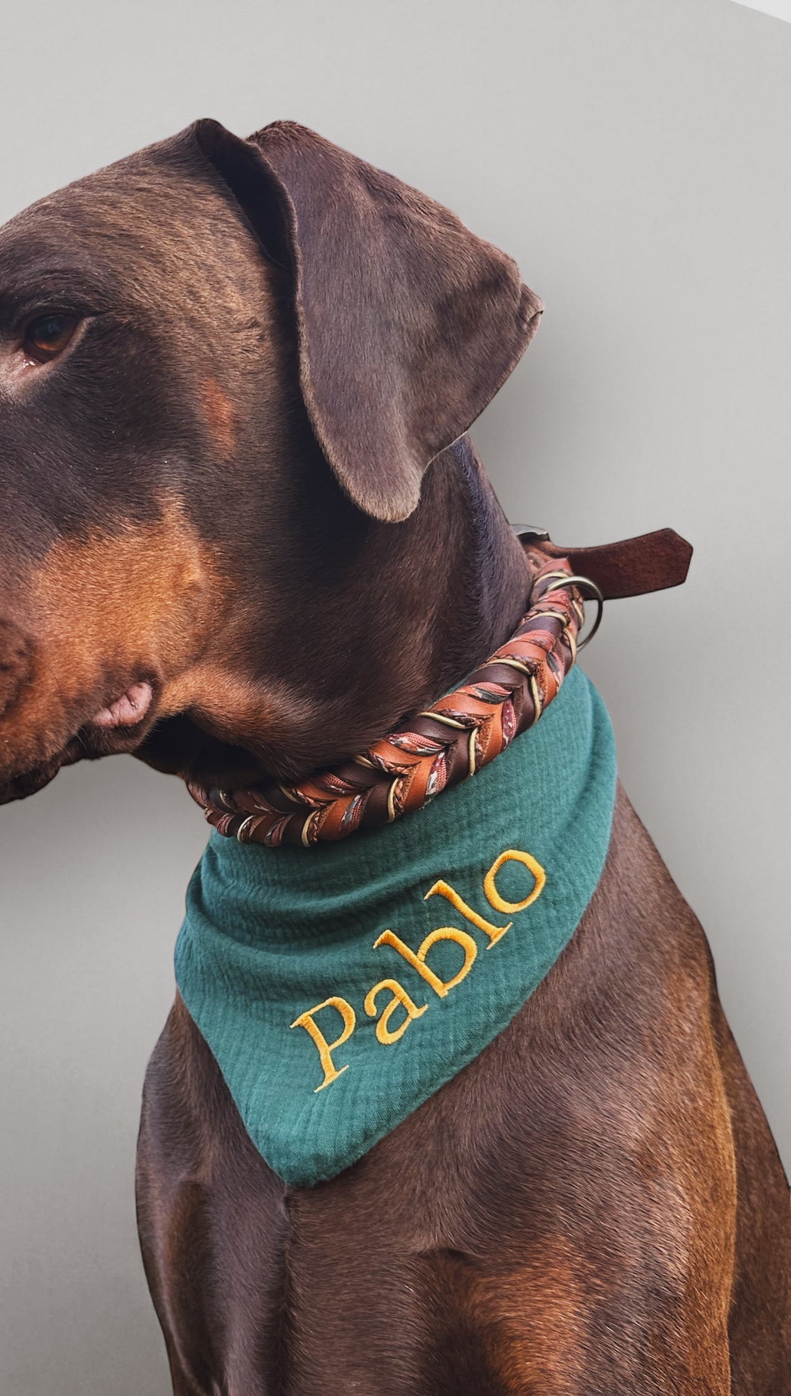 Hundehalstuch in dunkelgrün mit goldenem Stick. Personalisierbar mit namensstick. Perfektes Weihnachtsgeschenk