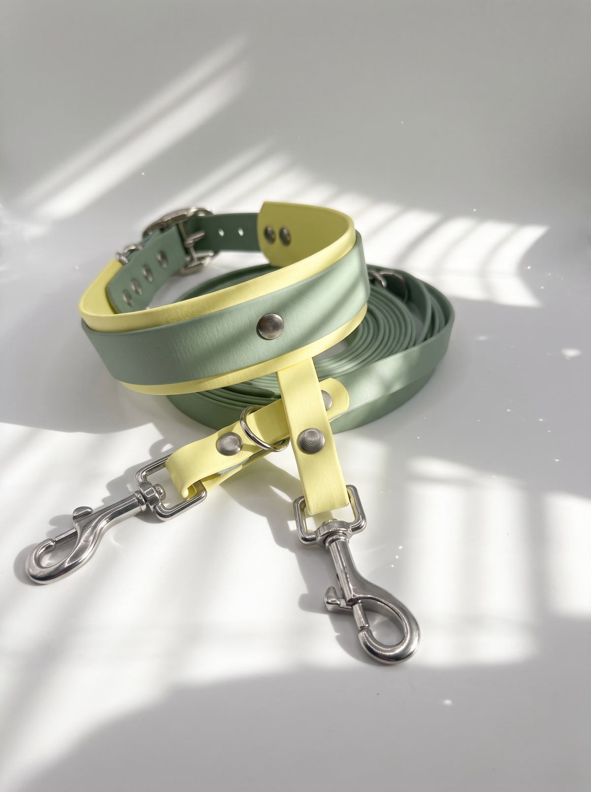 Hundeleine und Hundehalsband  aus BioThane in grün und gelb. Handgefertigt und individuell anpassbar. Mit personalisierten Beschlägen. Ansicht Set hinten 