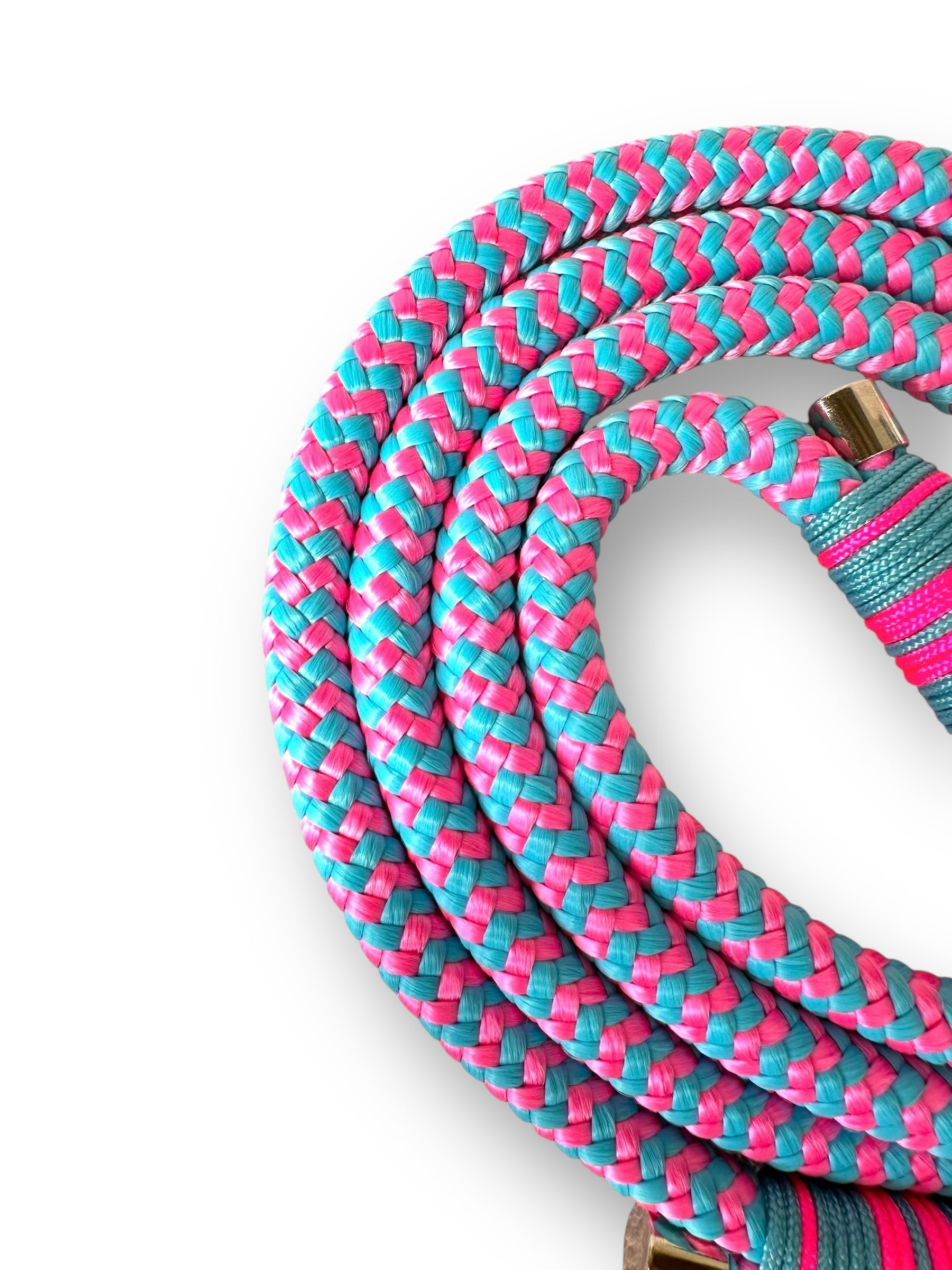 Hundeleine 10mm dick aus dem Tau baby shower in rosa und blau mit silbernen Details - Seil