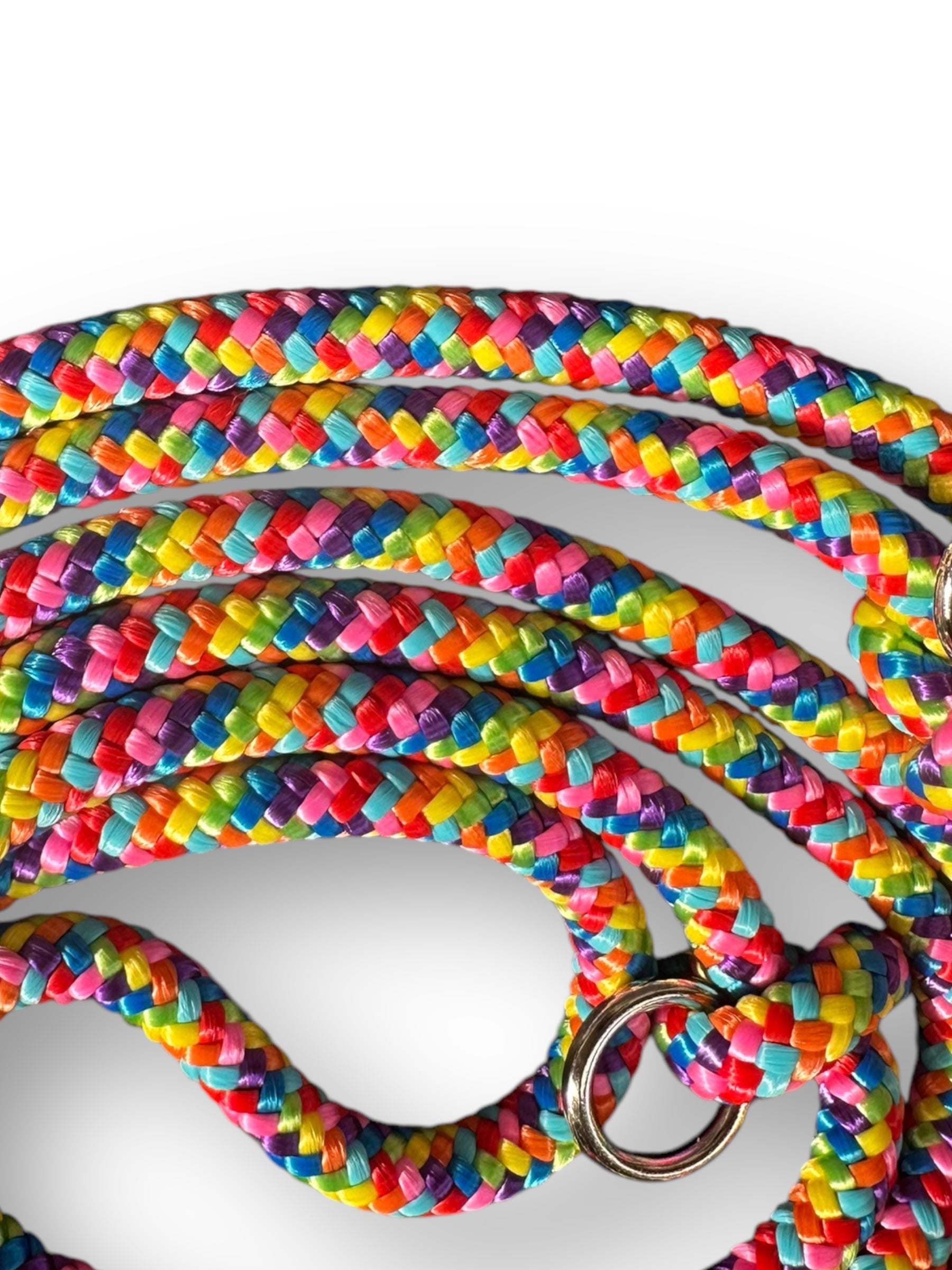 Hundeleine aus 8mm starke Tau aus dem Seil rainbow mit acid Lila Details Seil