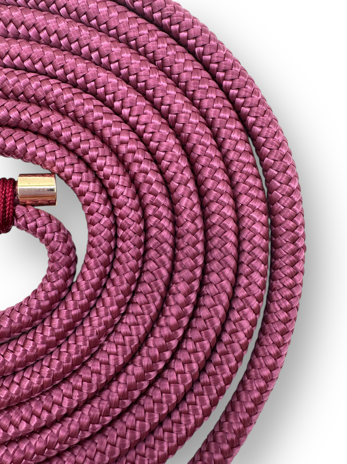Tauleine für Hunde aus 8mm Seil in der Farbe Aubergine mit Bordeaux Details. Hundeleine in weinrot für alle Hunde geeignet, da sie an das Gewicht des Hundes angepasst wird.
