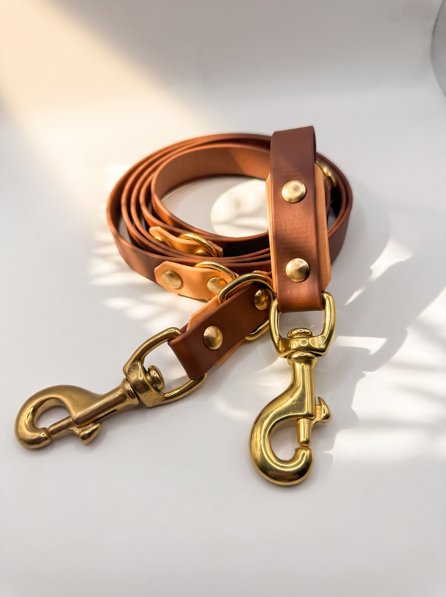 Hundeleine aus BioThane in braun mit golden copper orange Details. Handgefertigt und anpassar 
