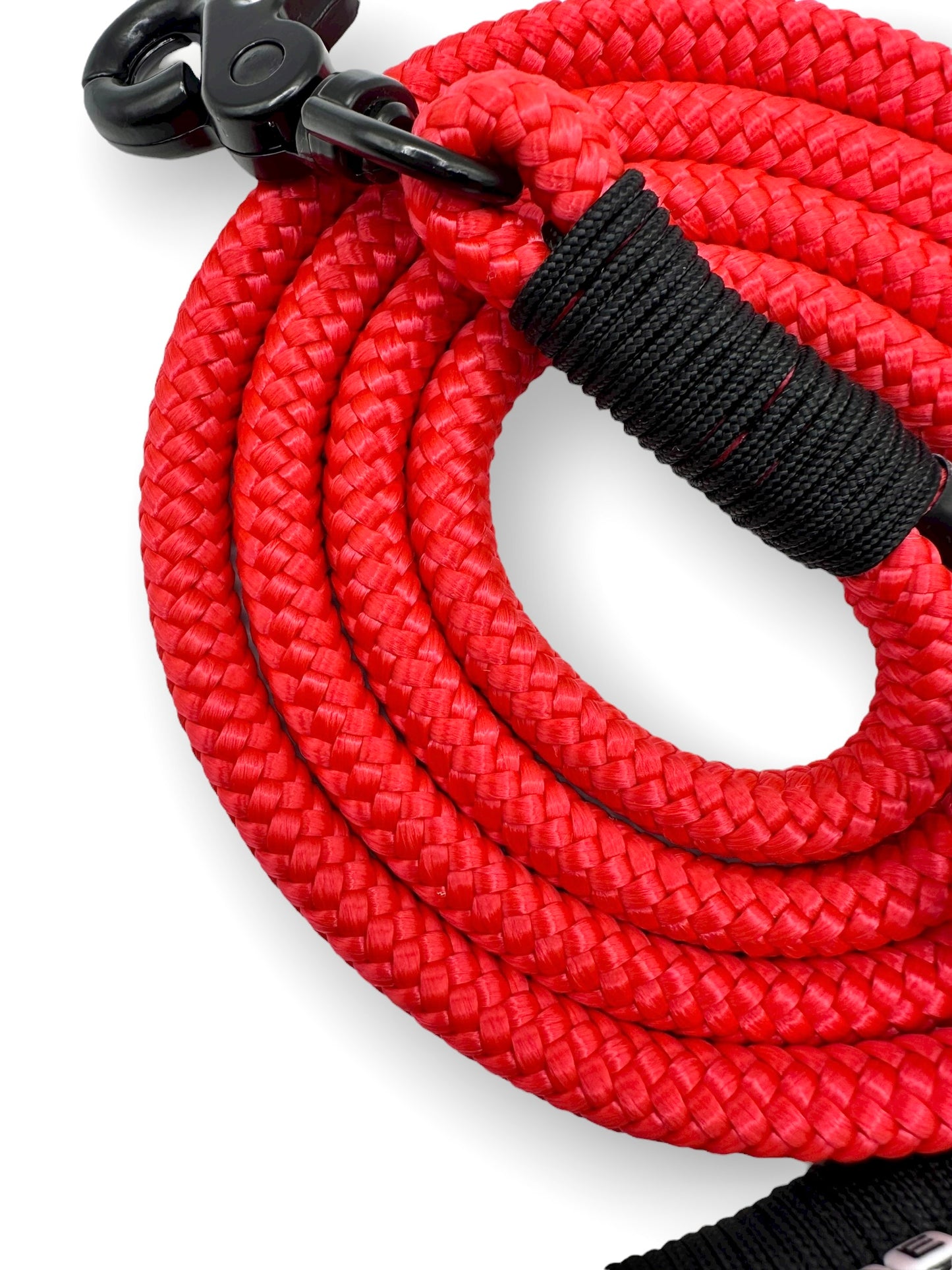 Tau Leine für Hunde in rot mit schwarzen Details 