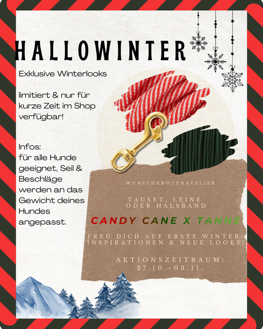 Hundeleine Candy Cane x Tanne. Weihnachtsgeschenk für deinen Vierbeiner. Leine, Halsband oder gleich das ganze Set erhältlich.