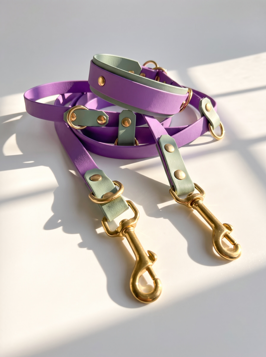 Hundehalsband und Hundeleine aus BioThane in den Farben Lila und grün. Handgefertigt und individuell anpassbar für alle Hunde. Beschläge aus Messing in gold