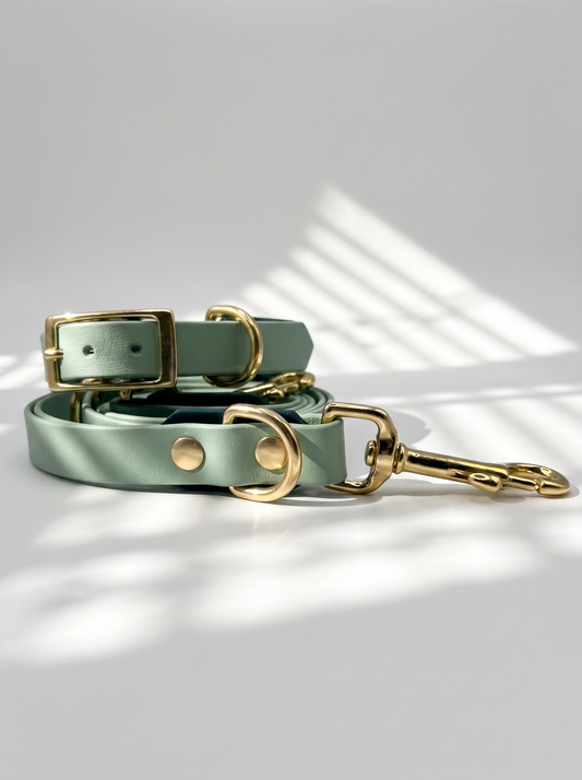 Hundeset aus BioThane Leine und Halsband in dunkel und hellgrün. Anpassbare Länge, Breite und Beschläge. Ansicht des Sets von vorne mit weißen Hintergrund 