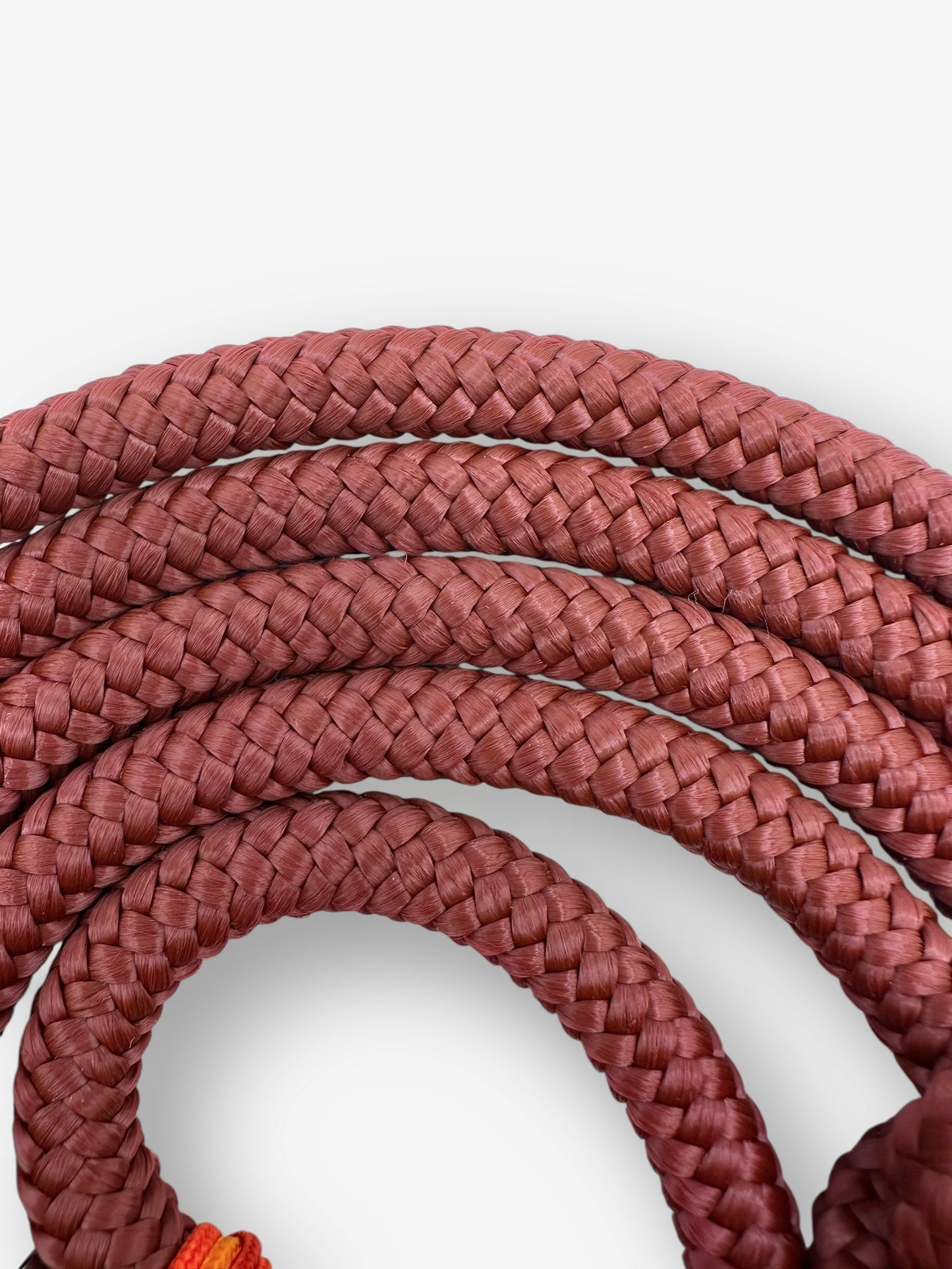 Hundeset aus Leine und Halsband in Roadster Aubergine mit simple red, multivitamin orange und rot Chili Details  - Leder in Rost - Seil 